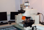 Epifluorescence microscope